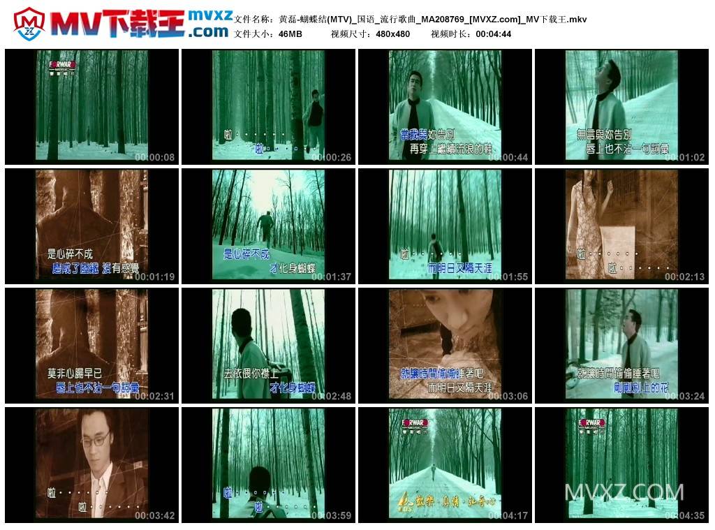 黄磊-蝴蝶结(MTV)_国语_流行歌曲_MA208769